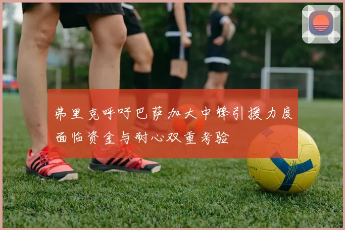 弗里克呼吁巴萨加大中锋引援力度面临资金与耐心双重考验
