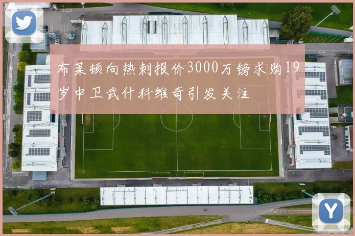 布莱顿向热刺报价3000万镑求购19岁中卫武什科维奇引发关注